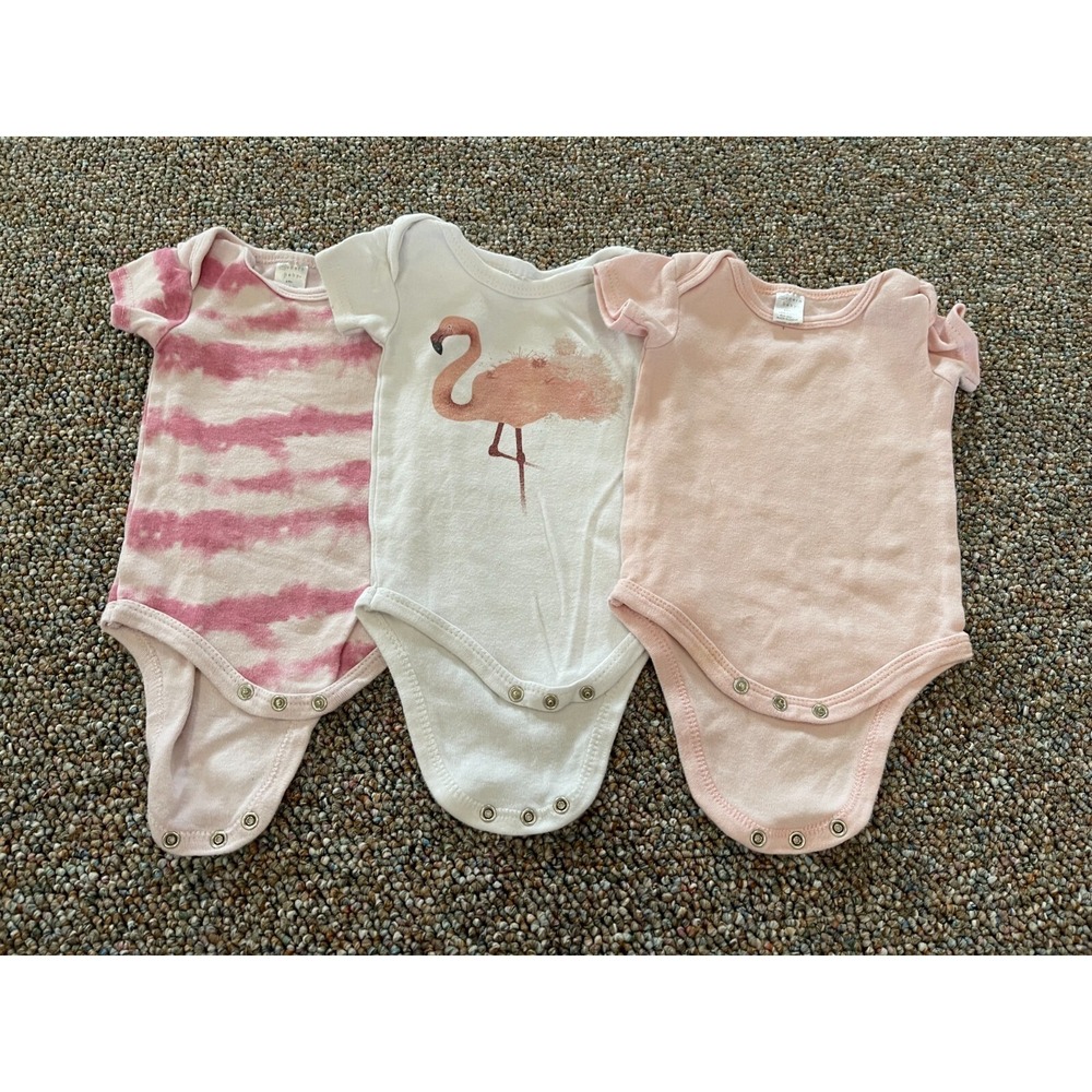 Modern Baby Girls Pink Flamingo Bundle of 3 Bodysuits 6-9M